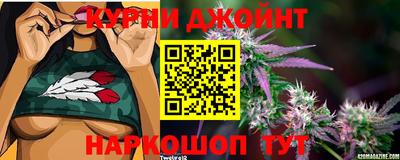 мяу мяу мука Боровичи