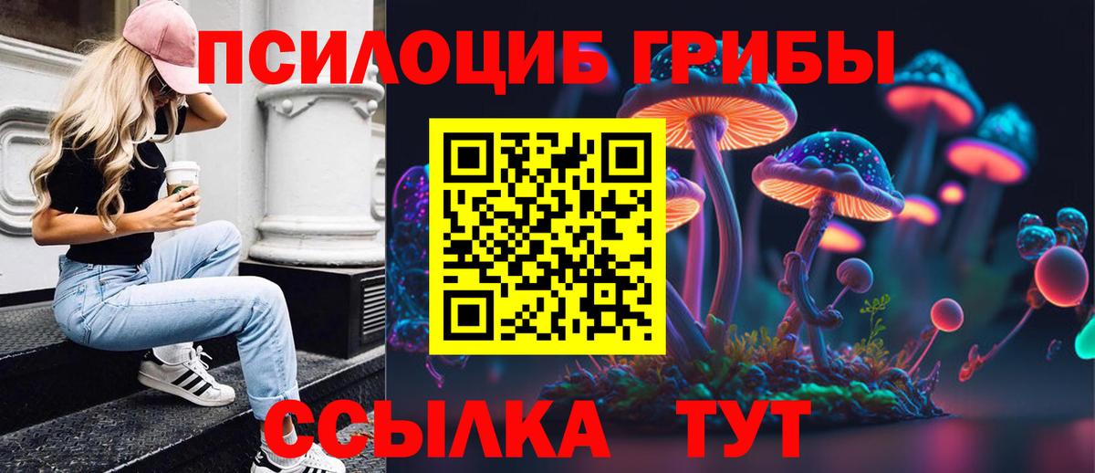 Псилоцибиновые грибы Psilocybe  Вход с VPN  Благодарный 